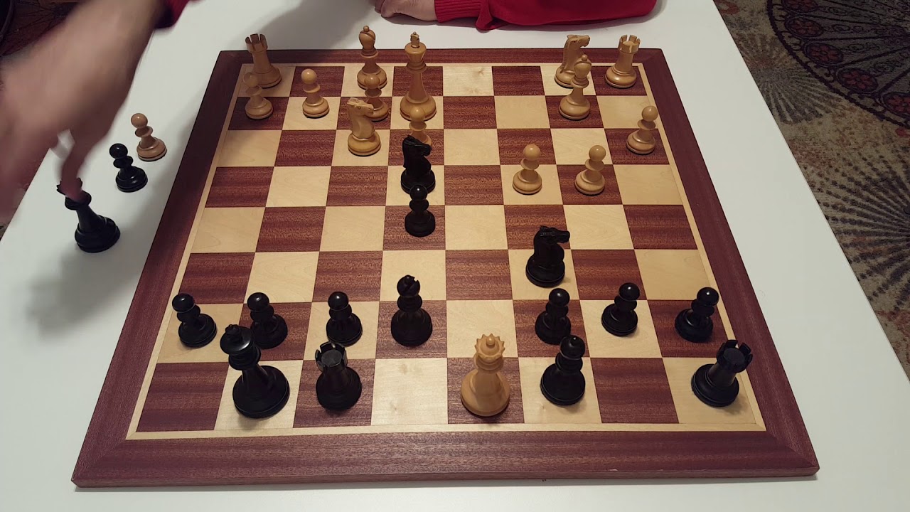 Chess budapest gambit